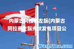 内蒙古阿拉善左旗(内蒙古阿拉善左旗光伏发电项目公告)
