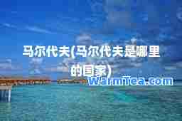 马尔代夫(马尔代夫是哪里的国家)