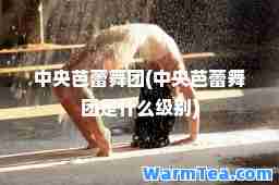 中央芭蕾舞团(中央芭蕾舞团是什么级别)