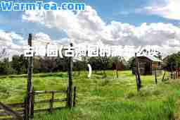 古琦园(古漪园的漪怎么读)