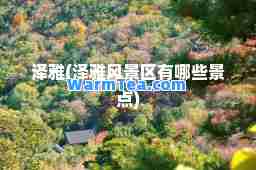 泽雅(泽雅风景区有哪些景点)