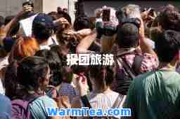 报团旅游