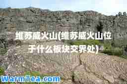 维苏威火山(维苏威火山位于什么板块交界处)
