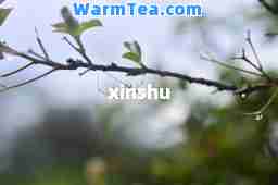 xinshu