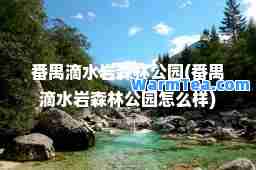 番禺滴水岩森林公园(番禺滴水岩森林公园怎么样)