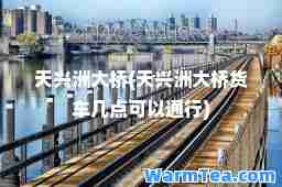 天兴洲大桥(天兴洲大桥货车几点可以通行)