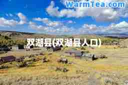 双湖县(双湖县人口)