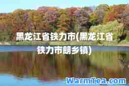 黑龙江省铁力市(黑龙江省铁力市朗乡镇)
