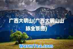 广西大明山(广西大明山山脉全景图)
