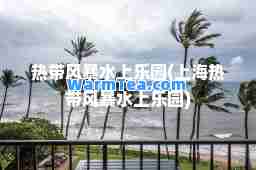 热带风暴水上乐园(上海热带风暴水上乐园)