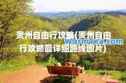 贵州自由行攻略(贵州自由行攻略最详细路线图片)