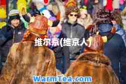 维尔京(维京人)