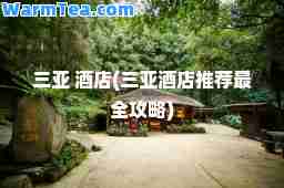 三亚 酒店(三亚酒店最全攻略)