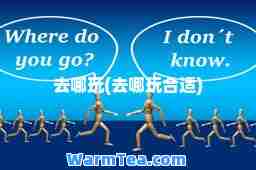 去哪玩(去哪玩适)
