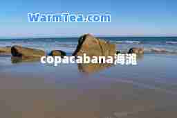 copacabana海滩