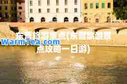 东营旅游景点(东营旅游景点攻略一日游)