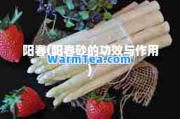 阳春(阳春砂的功效与作用)