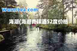 海湖(海湖青稞酒52度价格)