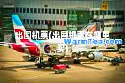 出国机票(出国机票在哪里买)