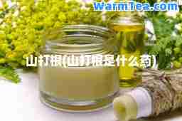 山打根(山打根是什么药)
