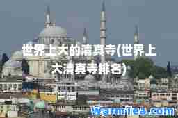 世界上大的寺(世界上大寺排名)