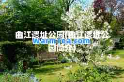 曲江遗址公园(曲江遗址公园简介)