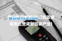 预订机票查询(预订机票查询怎么查询新加坡产业)