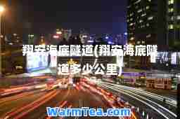 翔安海底隧道(翔安海底隧道多少公里)