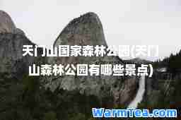 天门山国家森林公园(天门山森林公园有哪些景点)