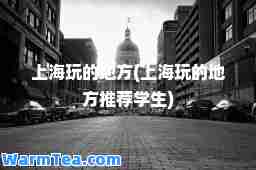 上海玩的地方(上海玩的地方学生)