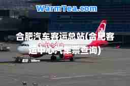肥汽车客运总站(肥客运中心汽车票查询)