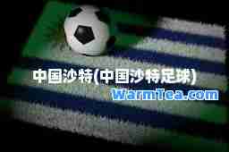 中国沙特(中国沙特足球)