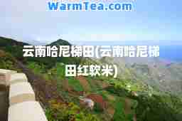 云南哈尼梯田(云南哈尼梯田红软米)