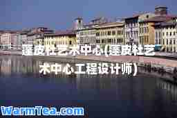 蓬皮杜艺术中心(蓬皮杜艺术中心工程设计师)