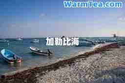 加勒比海