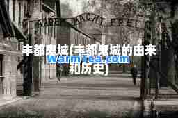 丰都鬼城(丰都鬼城的由来和历史)