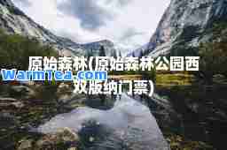 原始森林(原始森林公园西双版纳门票)
