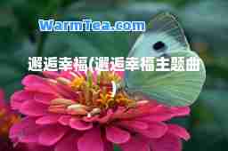 邂逅幸福(邂逅幸福主题曲)
