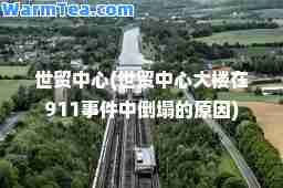 世贸中心(世贸中心大楼在911事件中倒塌的原因)