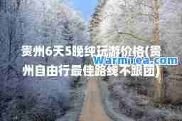 贵州6天5晚纯玩游价格(贵州自由行路线不跟团)