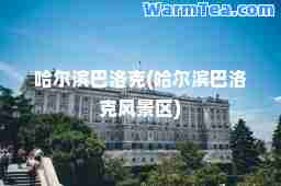 哈尔滨巴洛克(哈尔滨巴洛克风景区)