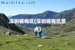 深圳杨梅坑(深圳杨梅坑景点)