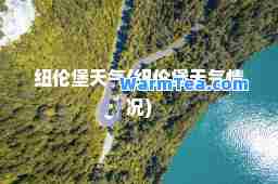 纽伦堡天气(纽伦堡天气情况)