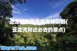 亚龙湾热带天堂森林公园(亚龙湾附近必去的景点)