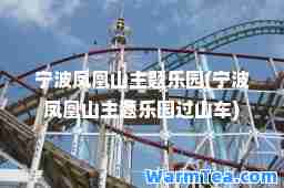 宁波凤凰山主题乐园(宁波凤凰山主题乐园过山车)