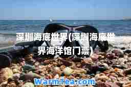 深圳海底世界(深圳海底世界海洋馆门票)