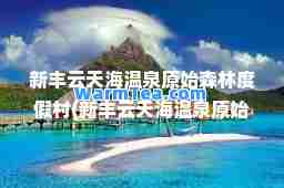 新丰云天海温泉原始森林度假村(新丰云天海温泉原始森林度假村价格)