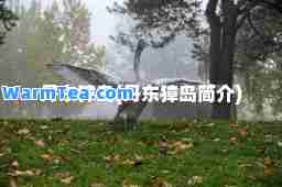 丹东獐岛(丹东獐岛简介)