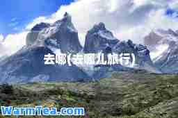 去哪(去哪儿旅行)