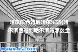 哈尔滨西站到哈尔滨站(哈尔滨西站到哈尔滨站怎么坐车)